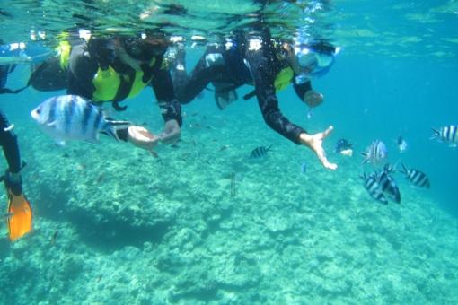 南京新百股东银丰生物质押股份3550万股 占总股本2.64%